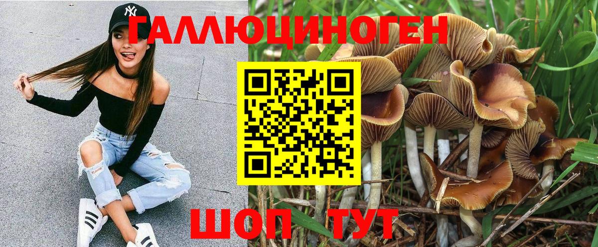 Галлюциногенные грибы ЛСД Котлас