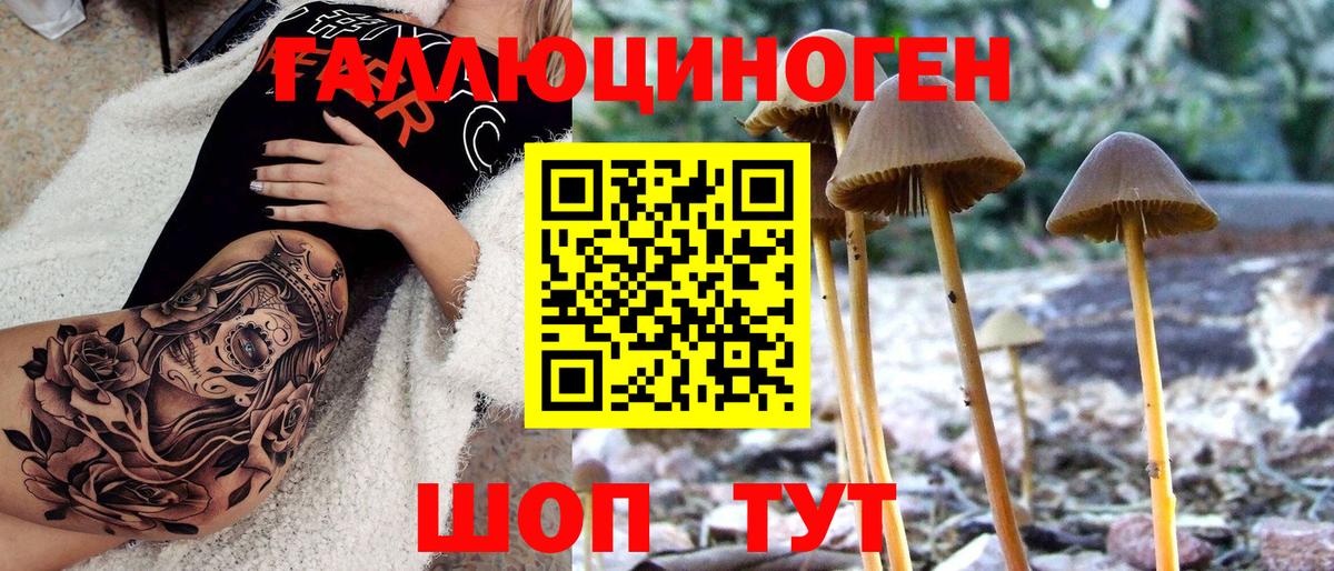 сколько стоит  Галлюциногенные грибы Psilocybe  Вход с VPN  Котлас 